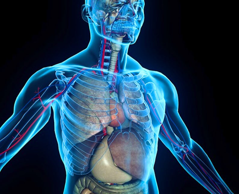 Best Medical Terminology Courses Certificates 2025 Coursera Learn best-medical-terminology-courses-certificates-2025-coursera-learn